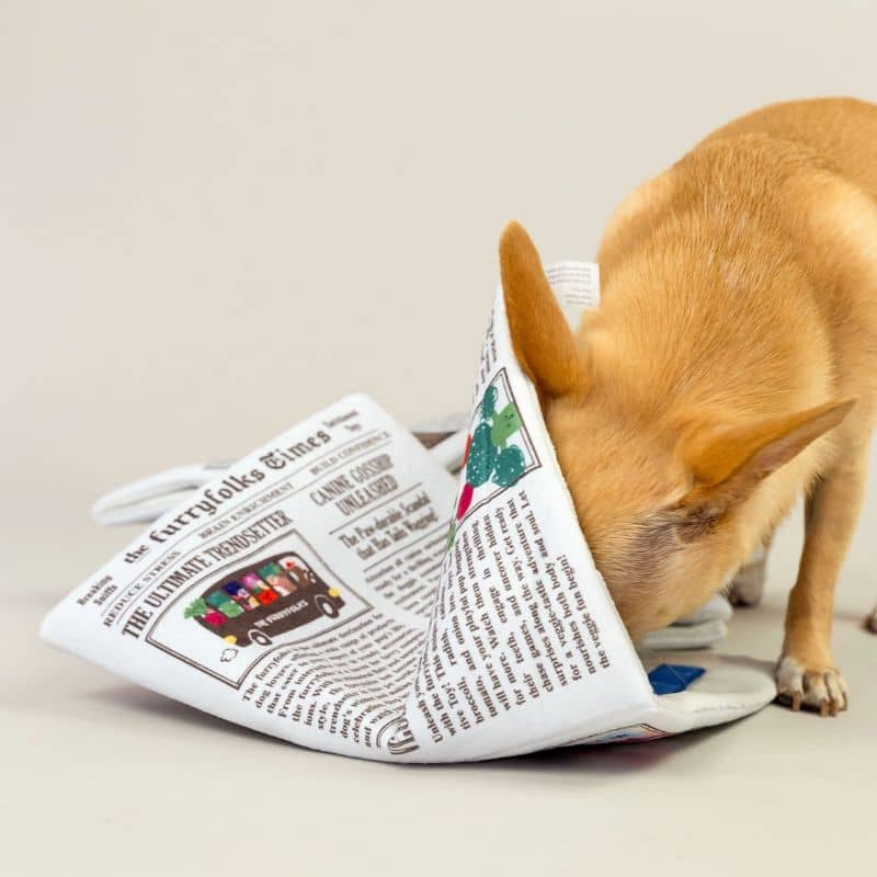 jouet d'occupation pour chien peluche de flair avec des cachettes à friandises en forme de journal newspaper Furryfolks : bruit de papier froissé et couineur