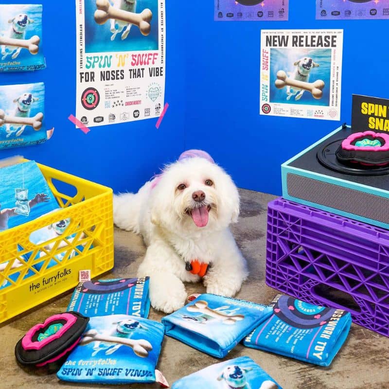 Jouet d’occupation The Furryfolks pour chien, disque vinyle avec cache friandises pour jeu de recherche.