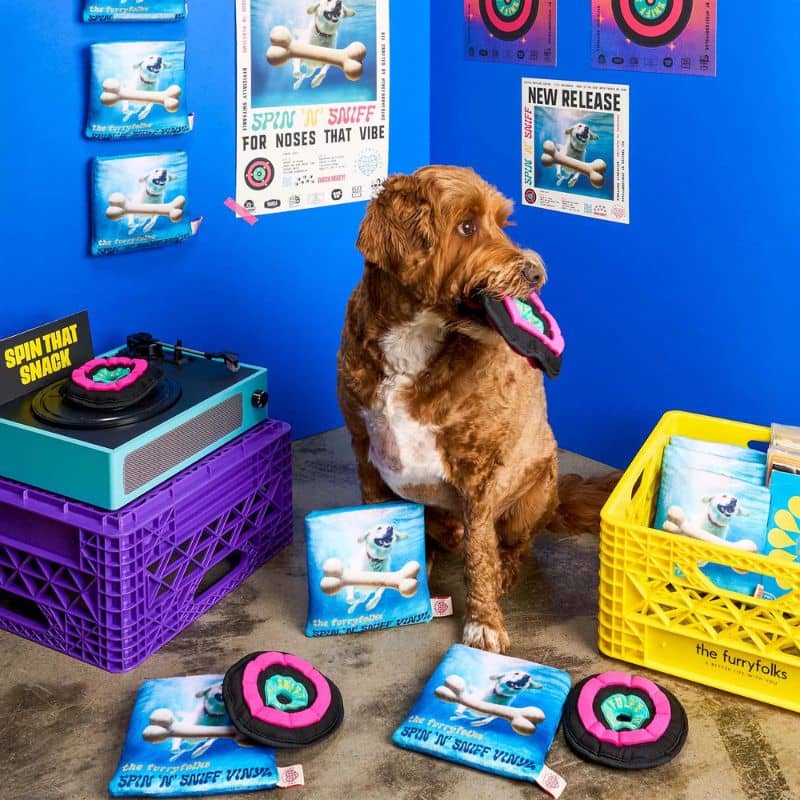 Jouet The Furryfolks pour chien, disque vinyle de fouille et d’occupation avec friandises cachées.