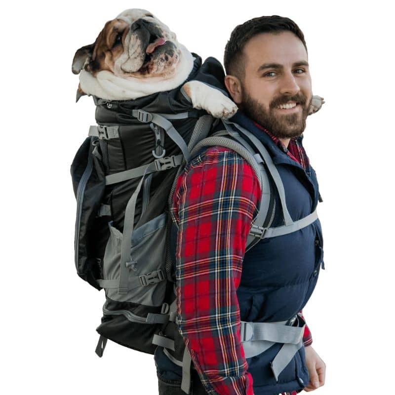 Sac à dos de transport et randonnée pour grand chien Kolossus K9 Sport Sack : convient aux chiens de 9 à 36 kg