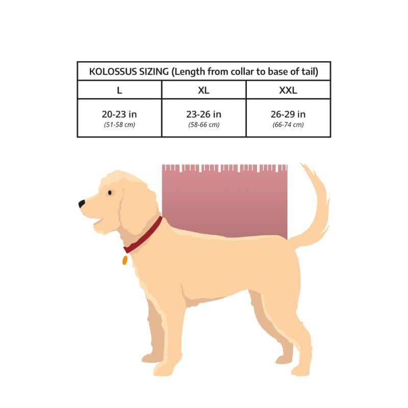 Sac à dos de transport et randonnée pour grand chien Kolossus K9 Sport Sack 