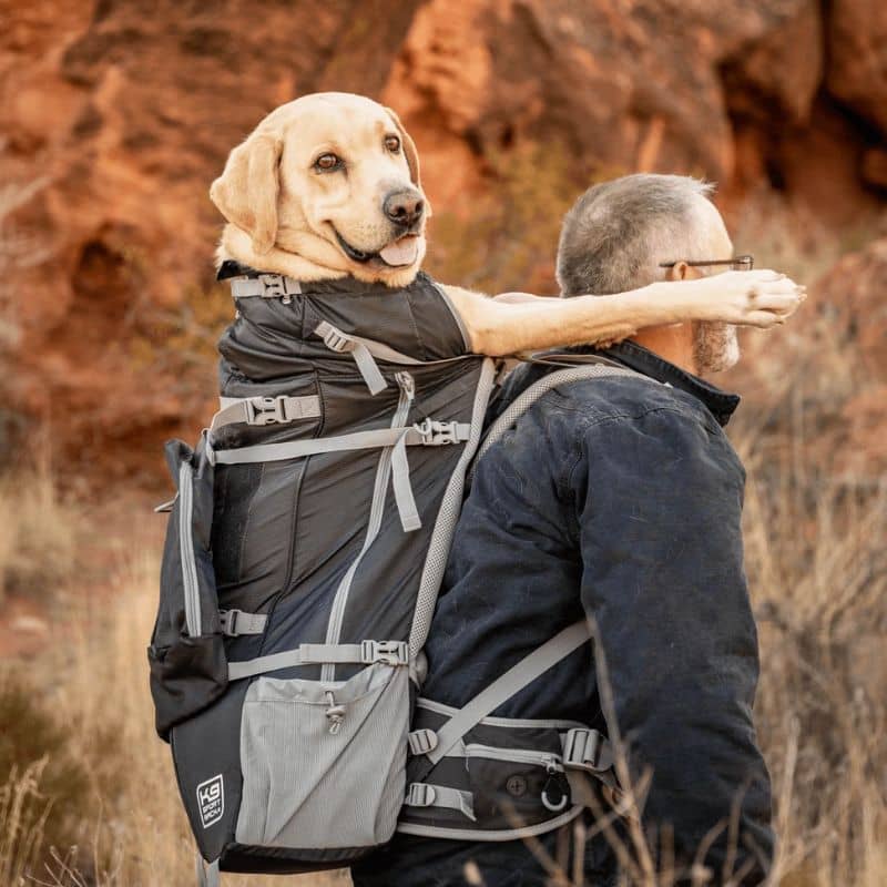 Sac à dos de transport et randonnée pour grand chien Kolossus K9 Sport Sack