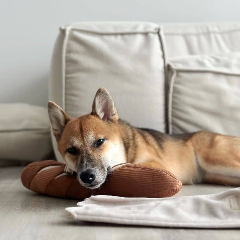 jeu d'occupation et de fouille pour chien en forme de baguette de pain avec 2 pouic pouic et 4 cachettes à friandises ainsi que son emballage qui fait un bruit de papier froissé Lambwolf Collective