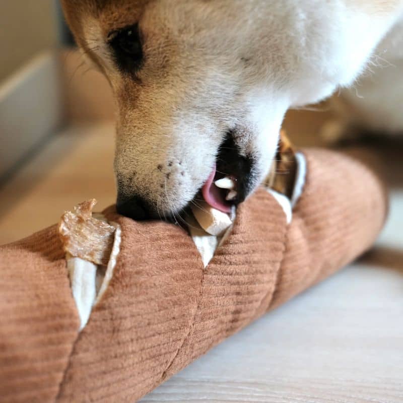 jeu d'occupation et de fouille pour chien en forme de baguette de pain avec 2 pouic pouic et 4 cachettes à friandises ainsi que son emballage qui fait un bruit de papier froissé Lambwolf Collective