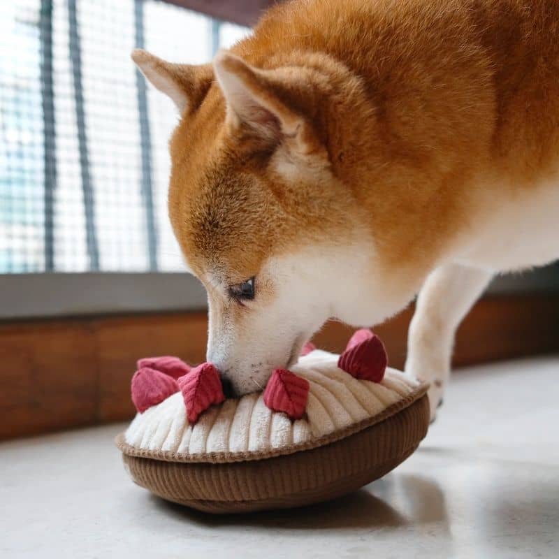 jeu d'occupation et de fouille pour chien en forme de tarte aux framboises avec 1 gros pouic pouic et 8 cachettes à friandises Berry Pie Lambwolf Collective