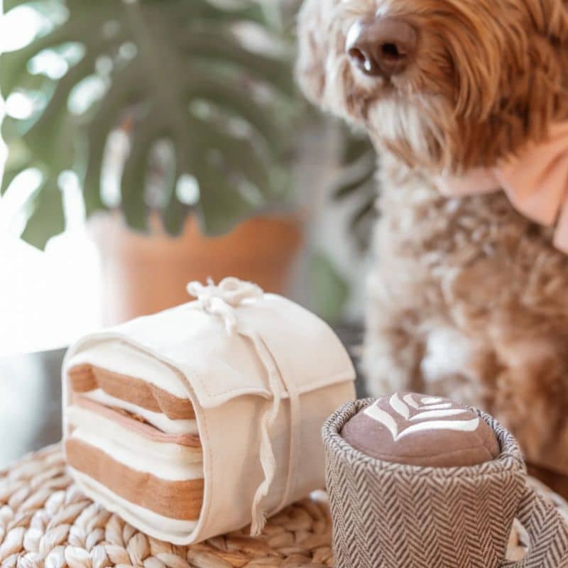 jeu d'occupation et de fouille pour chien en forme de sandwich dans son emballage  avec 1 pouic pouic et des cachettes à friandises Ham & Cheese Lambwolf Collective