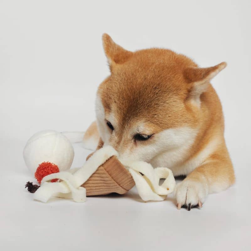 jeu d'occupation et de fouille pour chien en forme de cornet de glace avec cachettes à friandises et balle rebondissante qui couine Ice cream pop Lambwolf Collective 