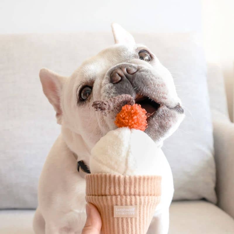 jeu d'occupation et de fouille pour chien en forme de cornet de glace avec cachettes à friandises et balle rebondissante qui couine Ice cream pop Lambwolf Collective 