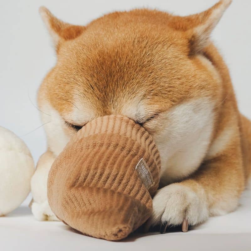 jeu d'occupation et de fouille pour chien en forme de cornet de glace avec cachettes à friandises et balle rebondissante qui couine Ice cream pop Lambwolf Collective 