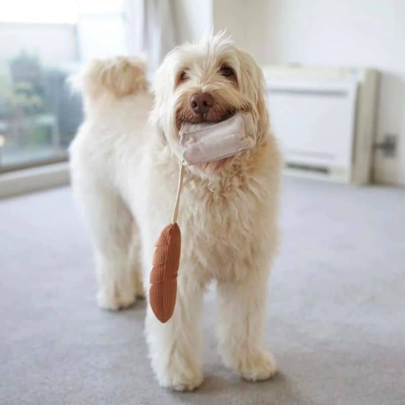 jeu d'occupation et de fouille pour chien en forme de mini baguette de pain avec 1 pouic pouic et cachette à friandises Lambwolf Collective