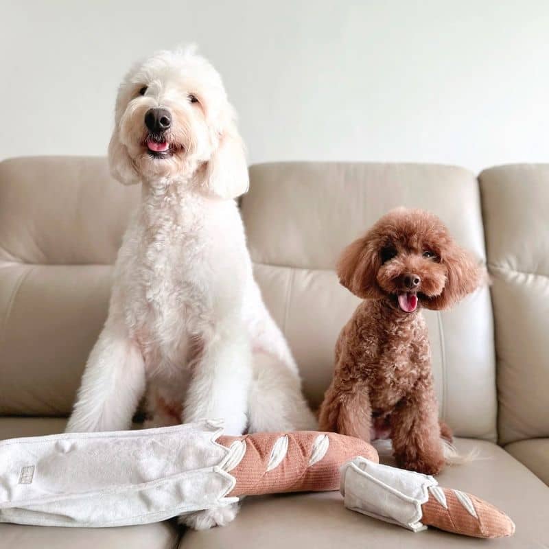 jeu d'occupation et de fouille pour chien en forme de mini baguette de pain avec 1 pouic pouic et cachette à friandises Lambwolf Collective