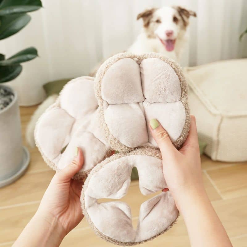 jouet interactif pour chien en forme de snuffle ball / balle de fouille avec cachettes à friandises Monti beige avoine Lambwolf