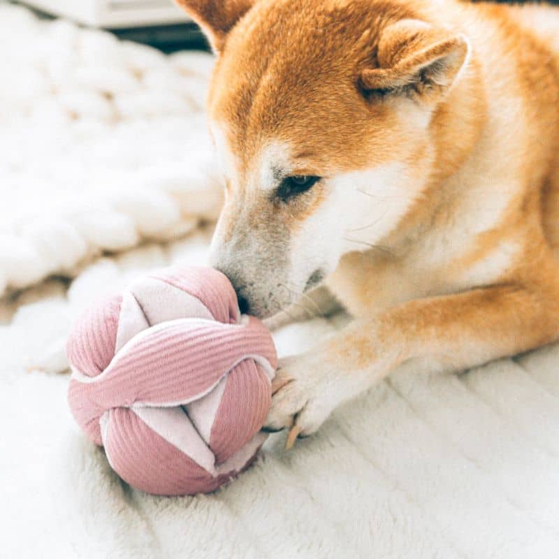 jouet interactif pour chien en forme de snuffle ball / balle de fouille avec cachettes à friandises Monti rose Lambwolf
