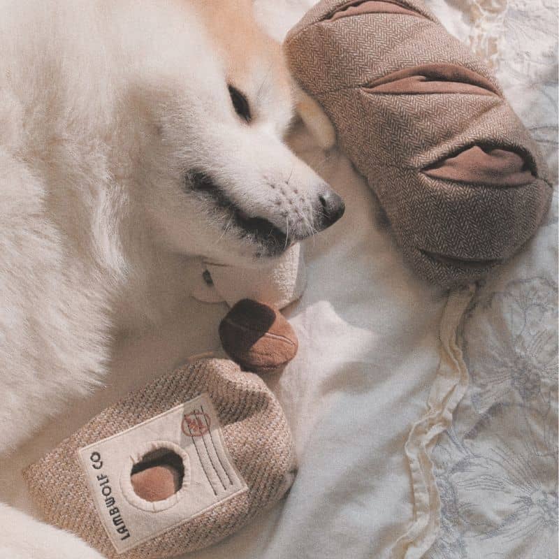 Jouet pour chien sur le thème du cafe : sac en toile de jute pour cacher des friandisese