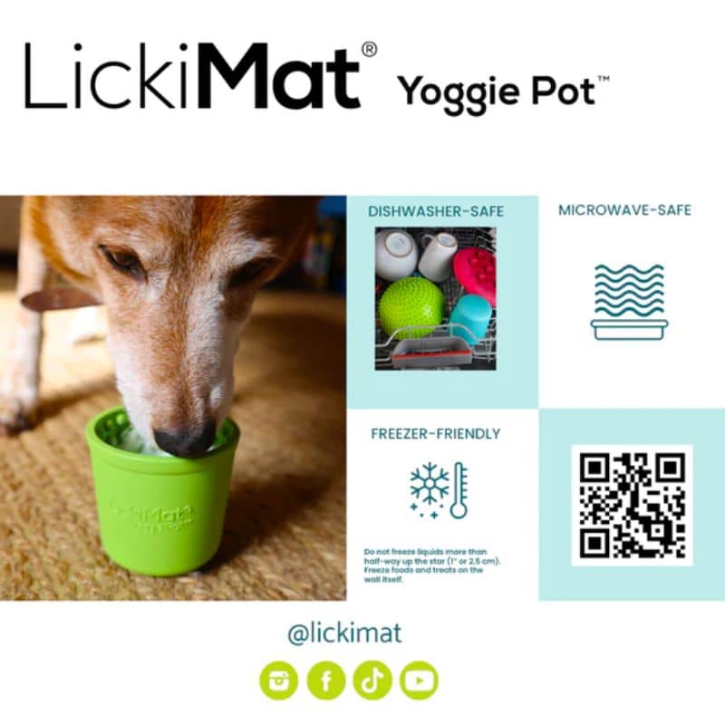 Le Yoggie Pot bleu turquoise de Lickimat est un jouet d'occupation pour chien pouvant être rempli de patée, peanut butter, yahourt ou croquettes et pouvanyt être léché