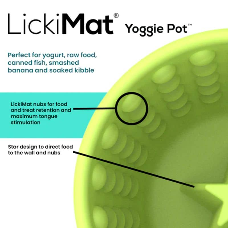 Le Yoggie Pot bleu turquoise de Lickimat est un jouet d'occupation pour chien pouvant être rempli de patée, peanut butter, yahourt ou croquettes et pouvanyt être léché