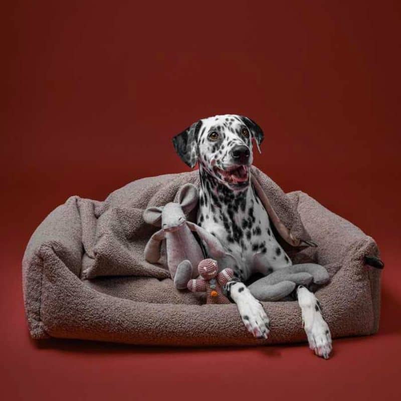 lit dehoussable pour chien Teddy en bouclette taupe Lillabel - taille medium