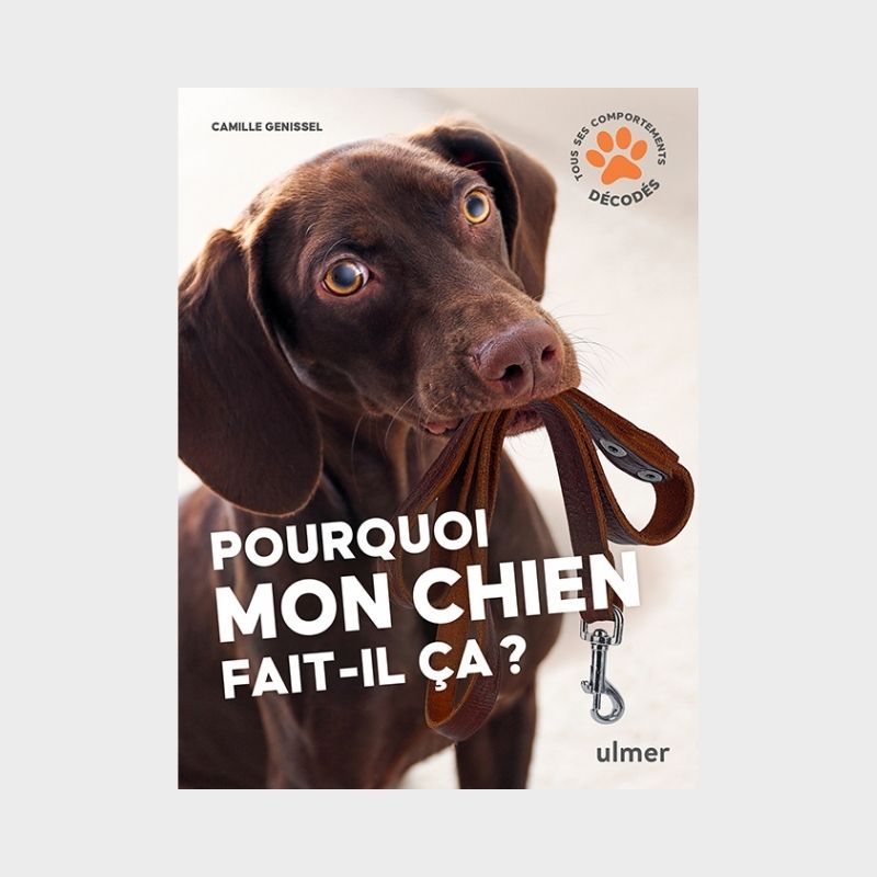 Livre Pourquoi mon chien fait-il ça par Camille Genissel pour décoder les comportements du chien aux Editions Ulmer