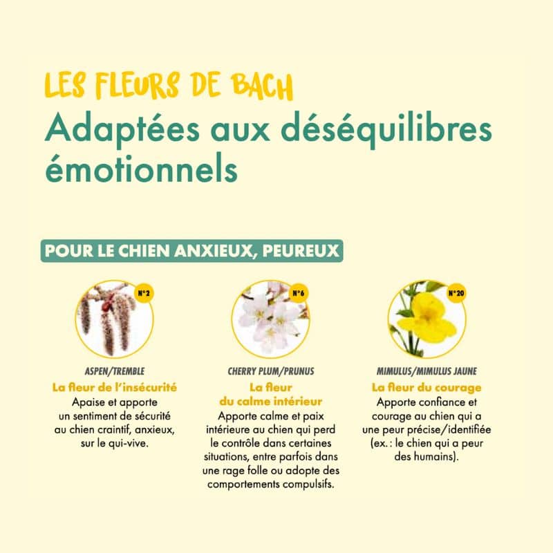 Comprendre et accompagner les emotions de mon chien par Elodie Martins et Françoise Claustres : prévenir et résoudre les problèmes de comportement avec l'aide des fleurs de bach