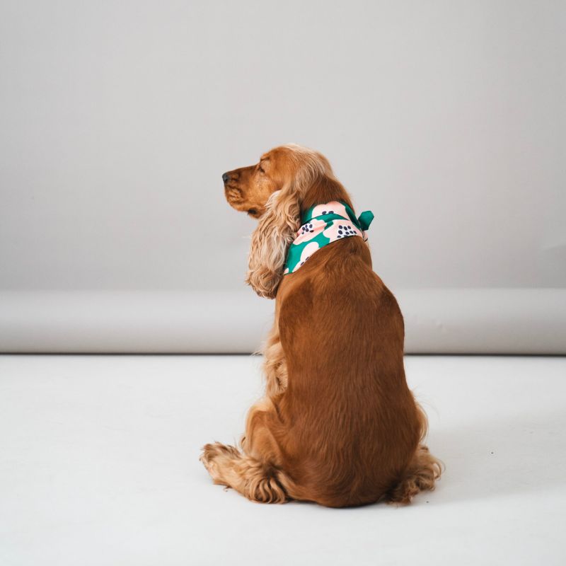 bandana pour chien fait main en coton vert à motifs fleurs roses Lou & Co