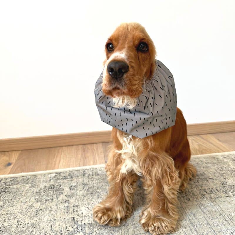snood waterproof et réfléchissant pour chien Lou & Co - protection des longues oreilles contre les épillets et l'humidité
