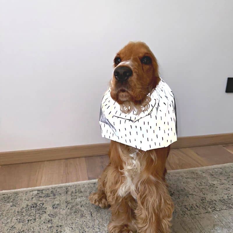 snood waterproof et réfléchissant pour chien Lou & Co - protection des longues oreilles contre les épillets et l'humidité