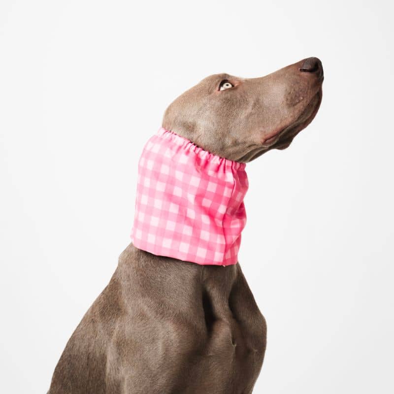 snood pour chien en coton motif carreaux rose et fuchsia Lou & Co - protection des longues oreilles contre les épillets et l'humidité