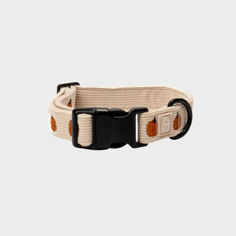 Collier pour chien en velours côtelé en beige de Lucy and co