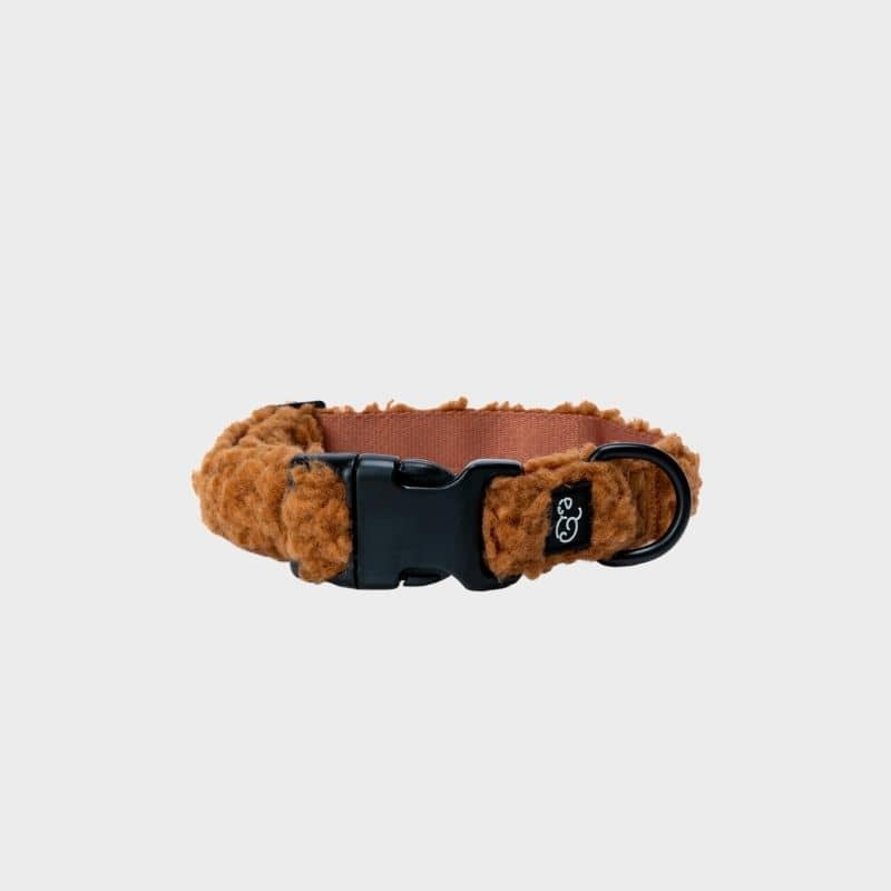 collier pour chien en moumoute sherpa marron "cinnamon teddy" par Lucy & Co
