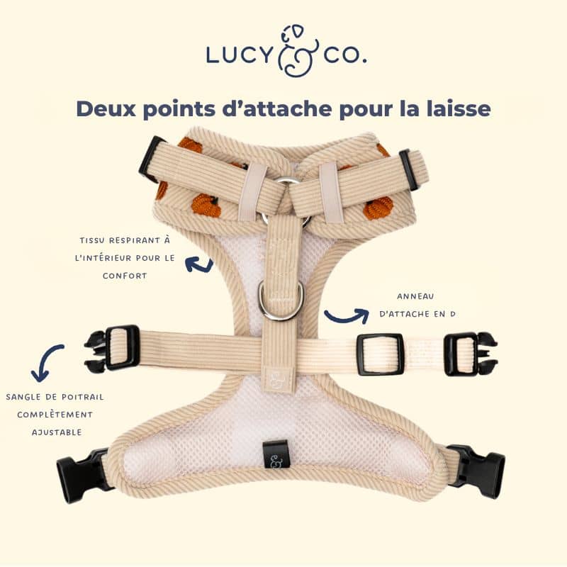 Détail du harnais pour chien en velours côtelé avec sangles ajustables