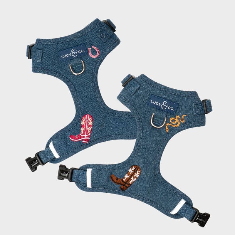 Harnais pour chien matchy male femelle cowgirl et cowboy