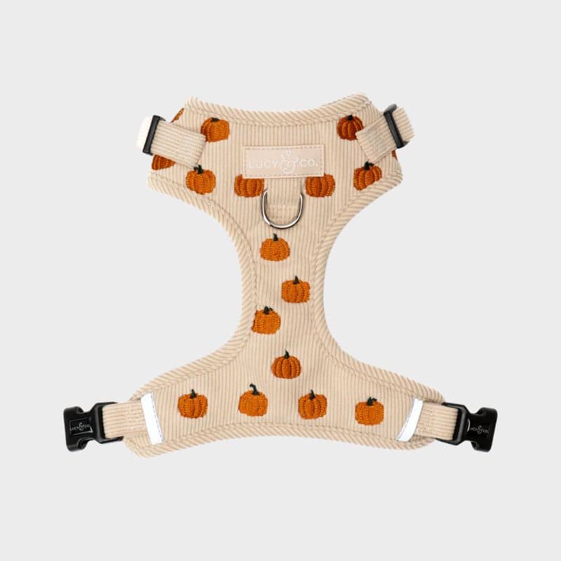 Harnais pour chien en velours côtelé beige de Lucy and Co