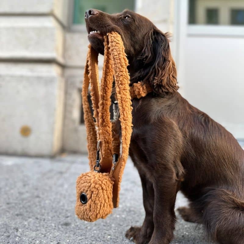 Laisse pour chien en moumoute sherpa marron avec mousqueton de sécurité cinnamon teddy par Lucy & Co