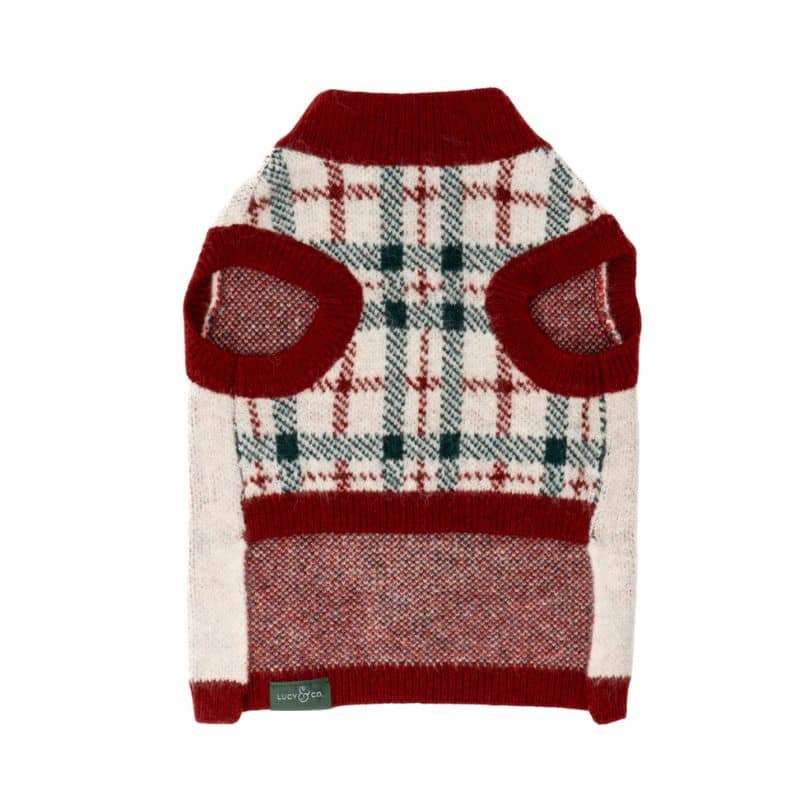 Pull confortable de Noël pour chien de Lucy and co : motif Snow Much Fun en rouge et vert