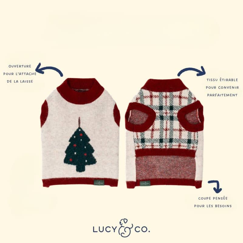 Pull de Noël confortable pour chien de Lucy and co : motif Snow Much Fun rouge et vert