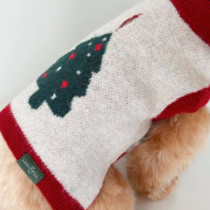 Pull de Noël pour chien de Lucy and co : motif Snow Much Fun avec sapin vert et rouge