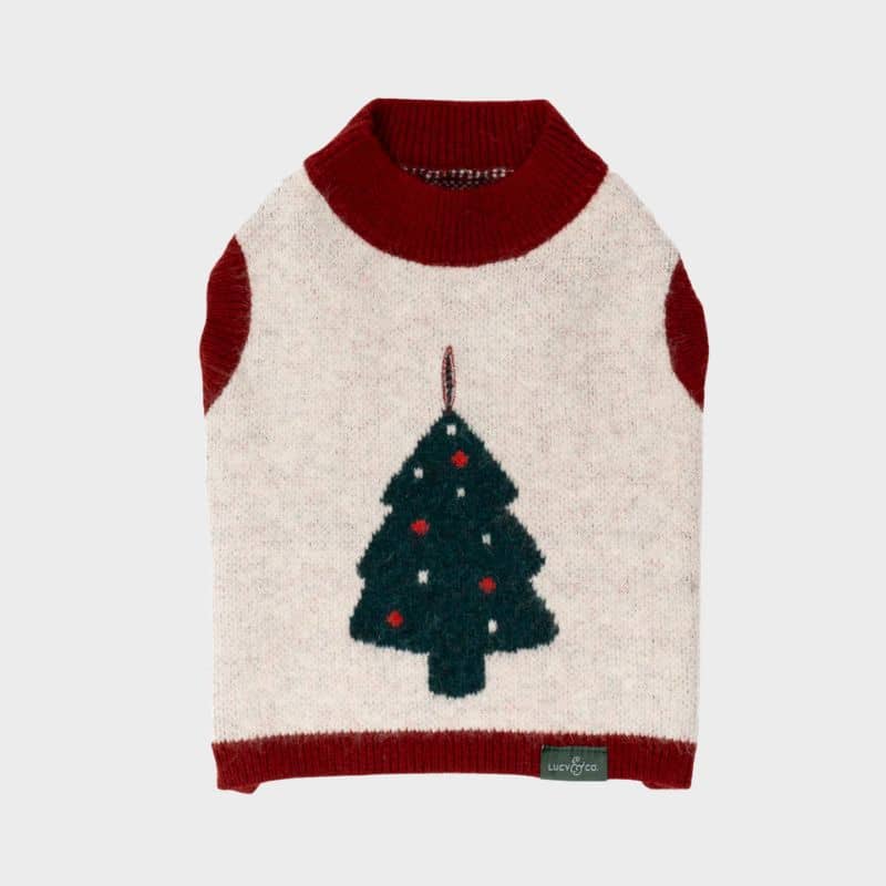 Pull de Noël pour chien de Lucy and co : motif Snow Much Fun