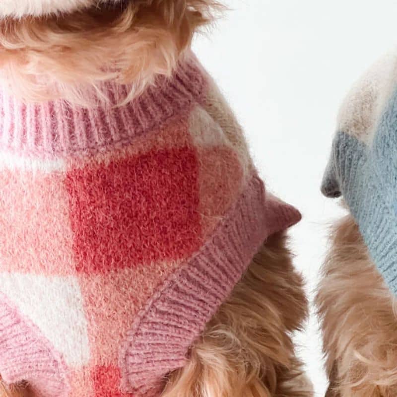 Détail du motif du pull pour chien Lucy & Co