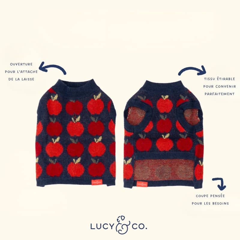 Détails du pull pour chien confortable avec pomme rouge Lucy and Co Appley Ever After