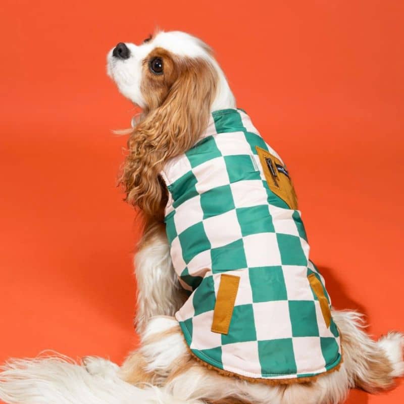 manteau d'hiver à zip pour chien Lucy and co réversible en polaire 