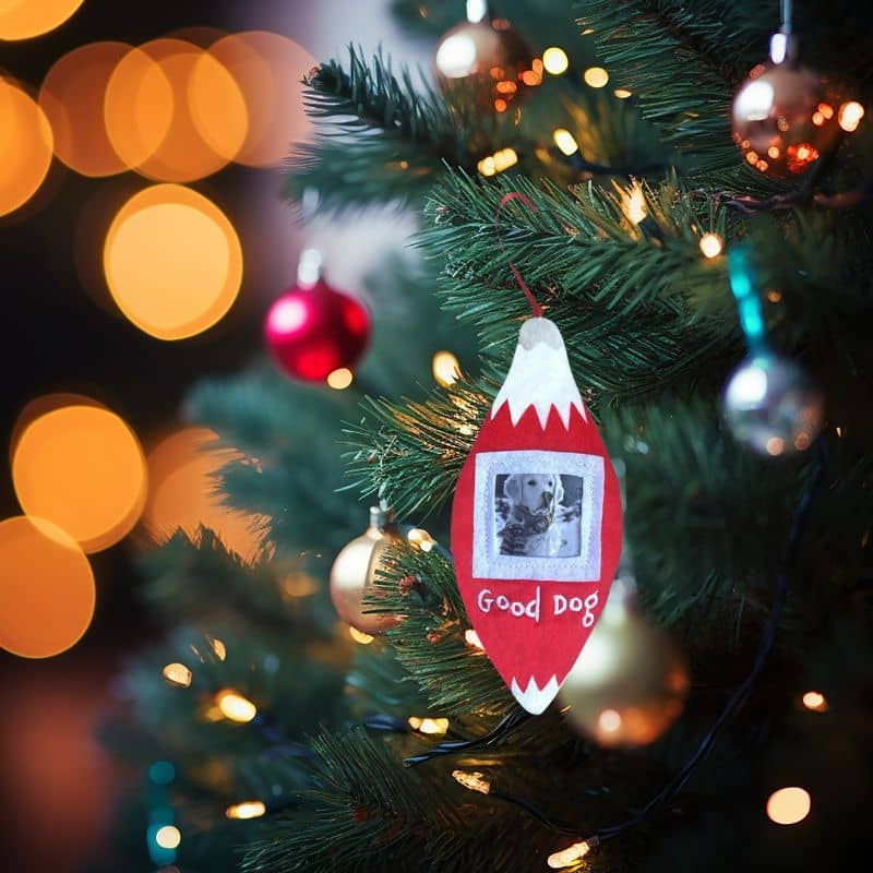 Décoration de Noël à personnaliser avec photo de votre chien