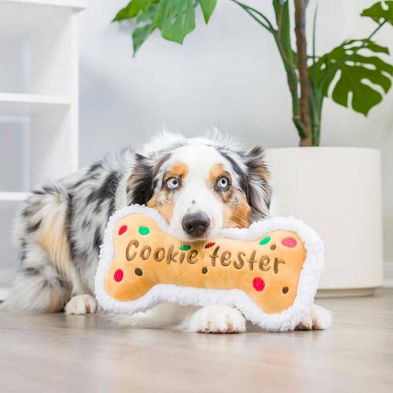 jouet pour chien peluche de noel résistante en forme d'os cookie tester de la marque Lulubelles par Huxley & Kent
