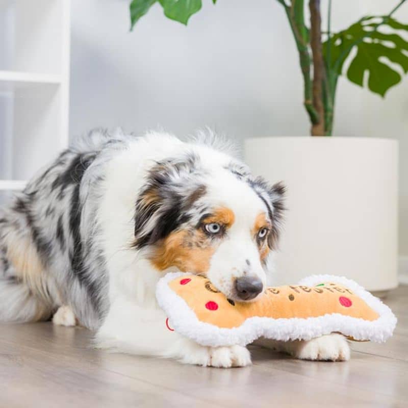 jouet pour chien peluche de noel résistante en forme d'os cookie tester de la marque Lulubelles par Huxley & Kent