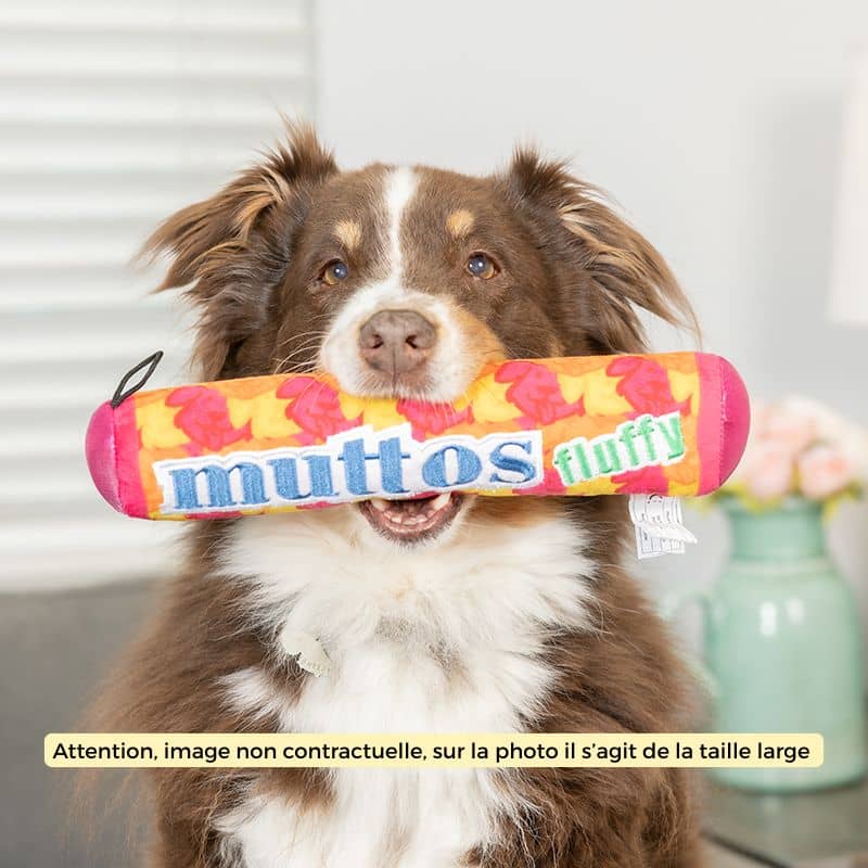 Jouet en peluche pour chien de la marque Lulubelles mentos muttos fluffy solide renforcé