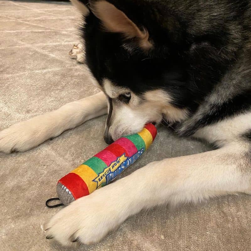 Jouet en peluche pour chien pupsavers de la marque Lulubelles en forme de bonbon avec un couineur