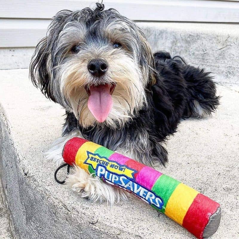 Jouet pour chien pupsavers de la marque Lulubelles en forme de bonbon idéal pour jouer avec son animal