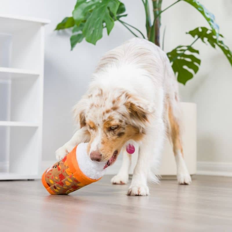 jouet résistant pour chien avec doubles coutures en forme de boisson automnale Pumpkin / Puggin Spice Latte