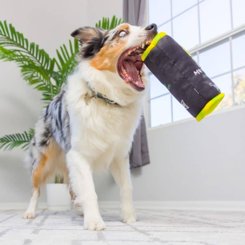 jouet Halloween peluche résistante pour chien en forme de canette Muttster Energy