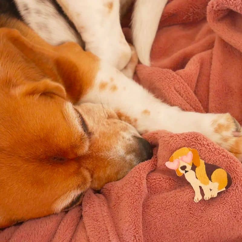 Patch thermocollant pour customiser bandana chien de Malicieuse - broderie beagle