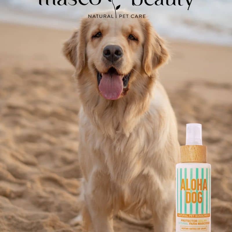 Cette crème solaire Aloha Dog pour chien et chat Masco Beauty permet de protéger les zones peu poilues, le museau, l'abdomen & co des brûlures dues à l'exposition au soleil.